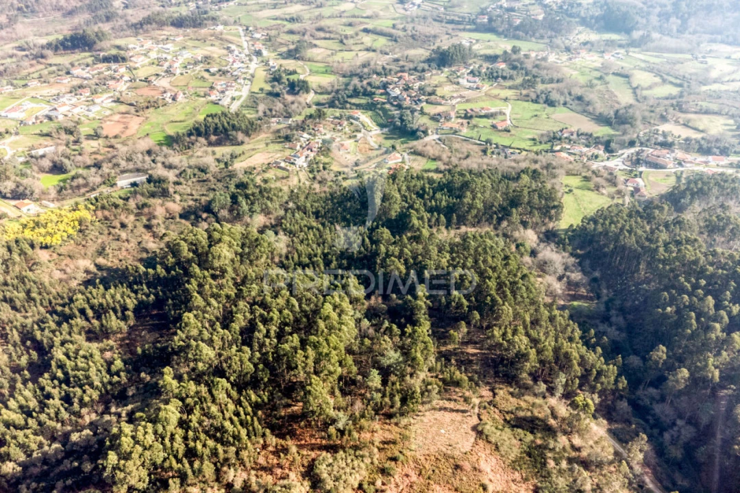 Terreno para Venda em Esqueiros, Nevogilde e Travassós Foto 9