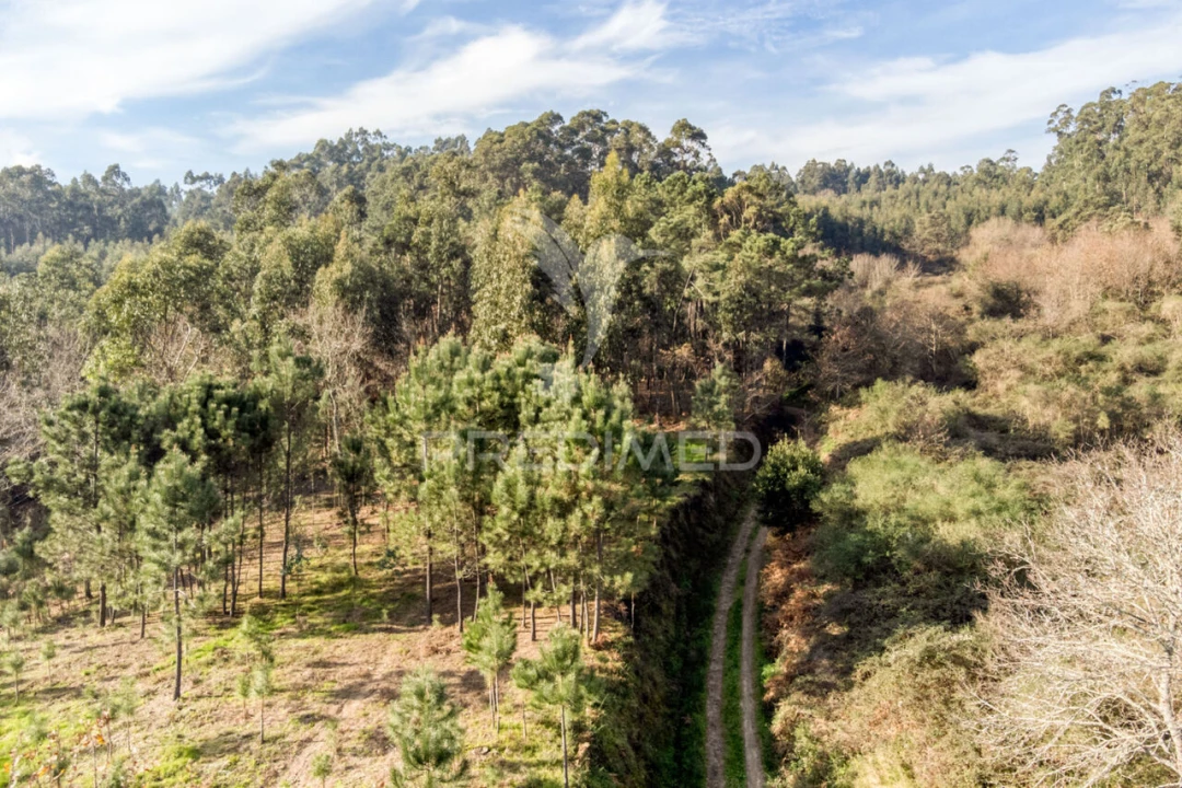 Terreno para Venda em Esqueiros, Nevogilde e Travassós Foto 12