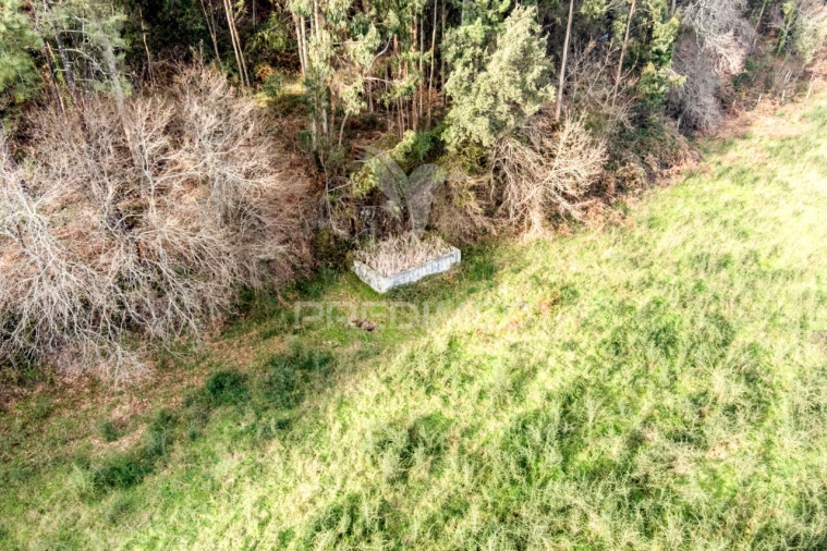 Terreno para Venda em Esqueiros, Nevogilde e Travassós Foto 23
