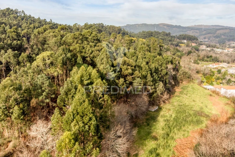 Terreno para Venda em Esqueiros, Nevogilde e Travassós Foto 3