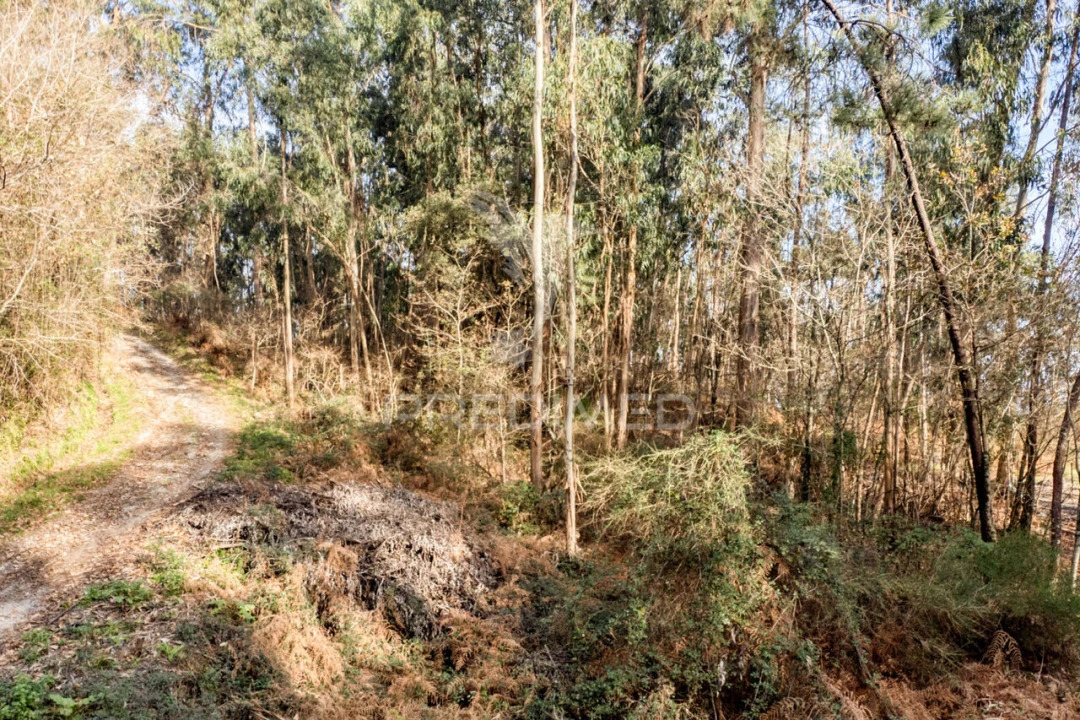 Terreno para Venda em Esqueiros, Nevogilde e Travassós Foto 14