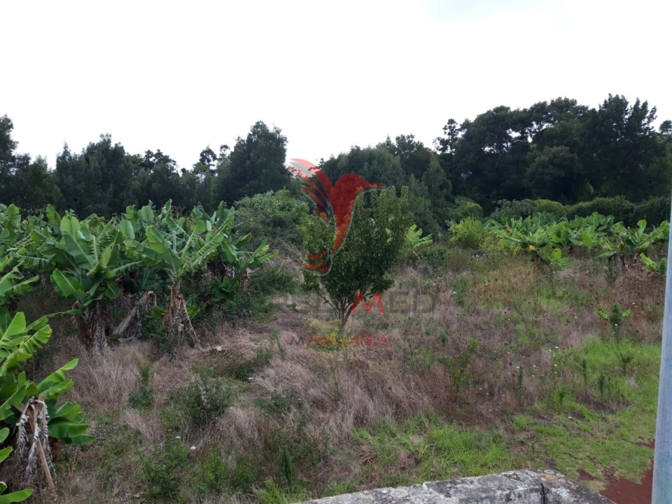 Terreno para Venda em São Mateus da Calheta Foto 7