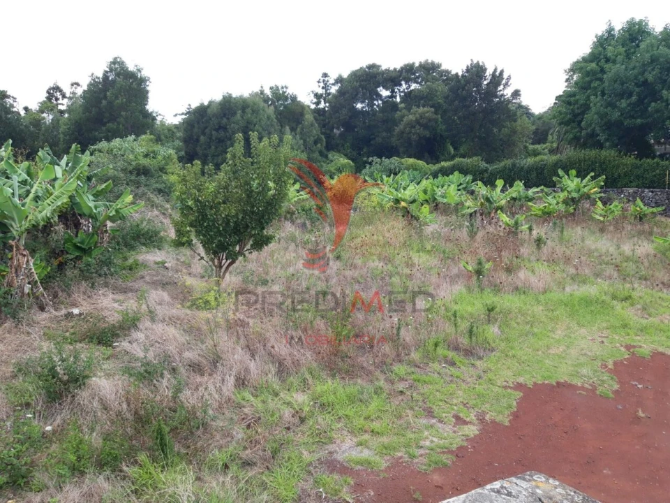 Terreno para Venda em São Mateus da Calheta Foto 5