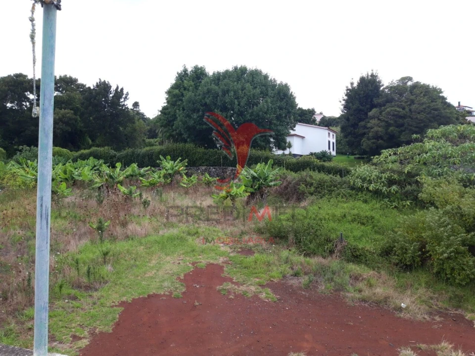 Terreno para Venda em São Mateus da Calheta Foto 8