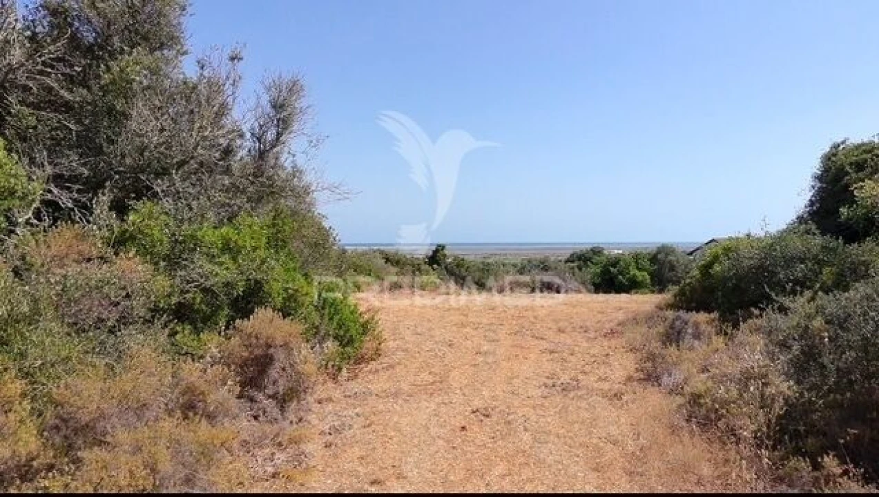 Terreno para Venda em Moncarapacho e Fuseta Foto 2