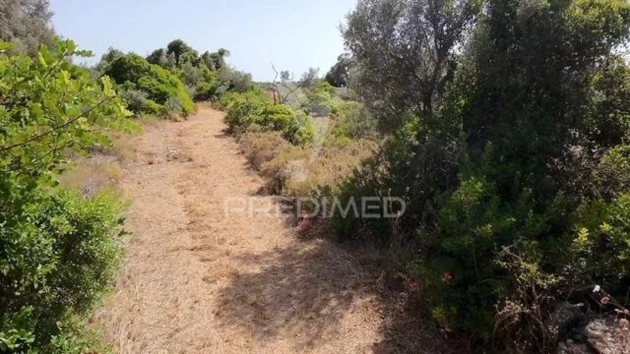 Terreno para Venda em Moncarapacho e Fuseta Foto 4