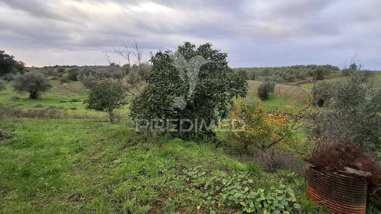 Moradia T1 para Venda em Azoia de Cima e Tremês Foto 23