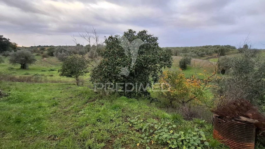 Moradia T1 para Venda em Azoia de Cima e Tremês Foto 23