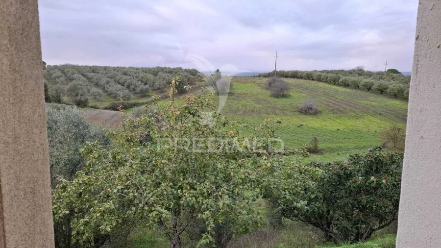 Moradia T1 para Venda em Azoia de Cima e Tremês Foto 26