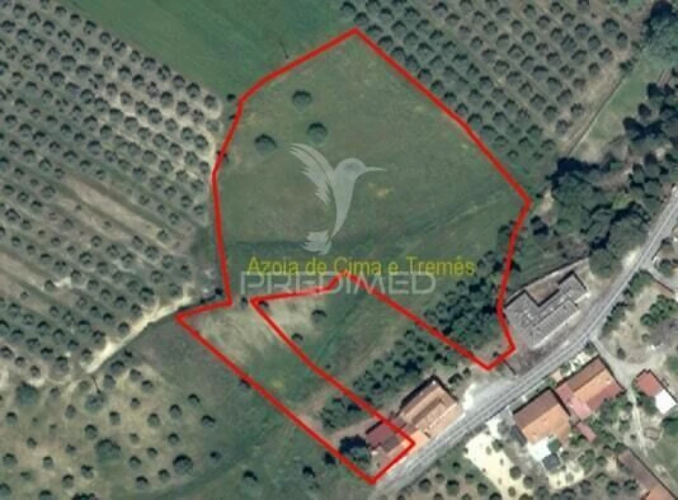 Moradia T1 para Venda em Azoia de Cima e Tremês Foto 28