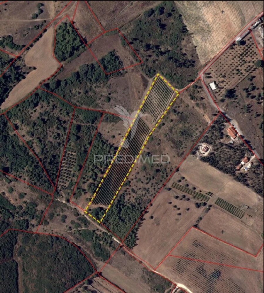 Terreno para Venda em Abrigada e Cabanas de Torres Foto 1