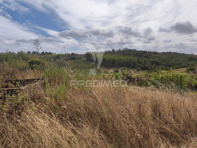 Terreno para Venda em Abrigada e Cabanas de Torres Foto 2