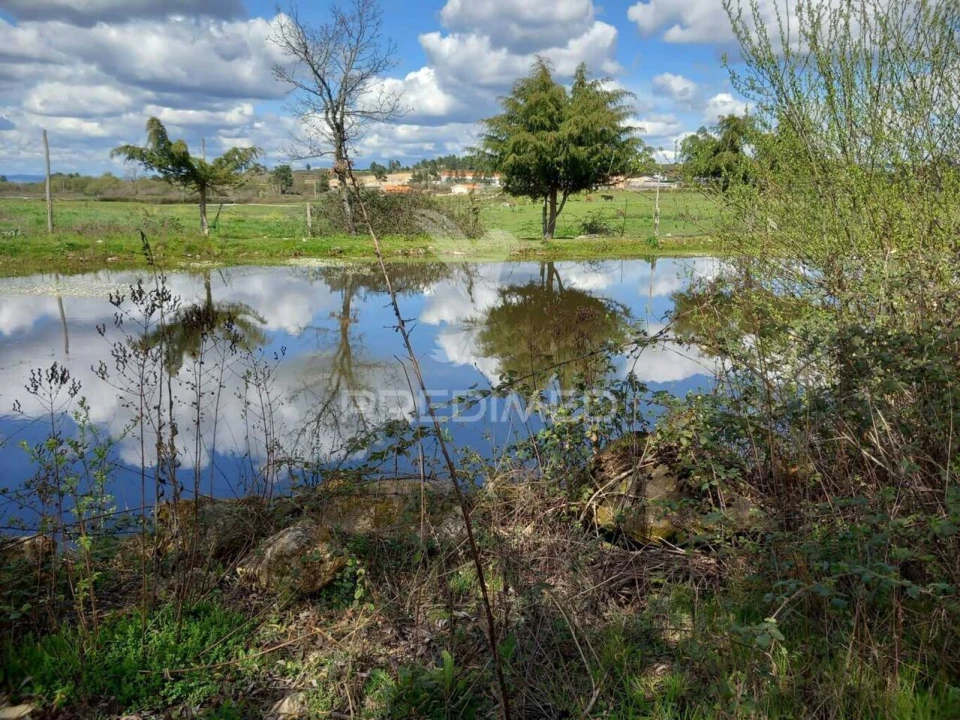 Quinta T0 para Venda em Mêda, Outeiro de Gatos e Fonte Longa Foto 11