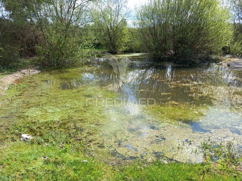 Quinta T0 para Venda em Mêda, Outeiro de Gatos e Fonte Longa Foto 10