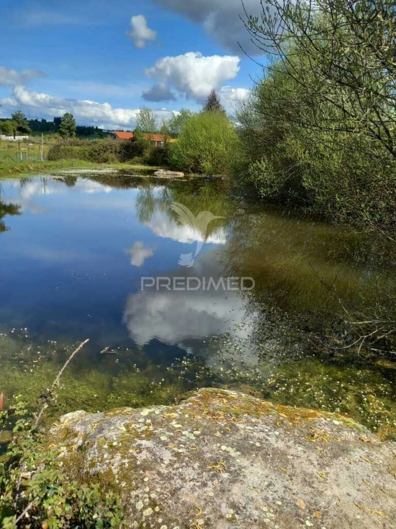Quinta T0 para Venda em Mêda, Outeiro de Gatos e Fonte Longa Foto 2
