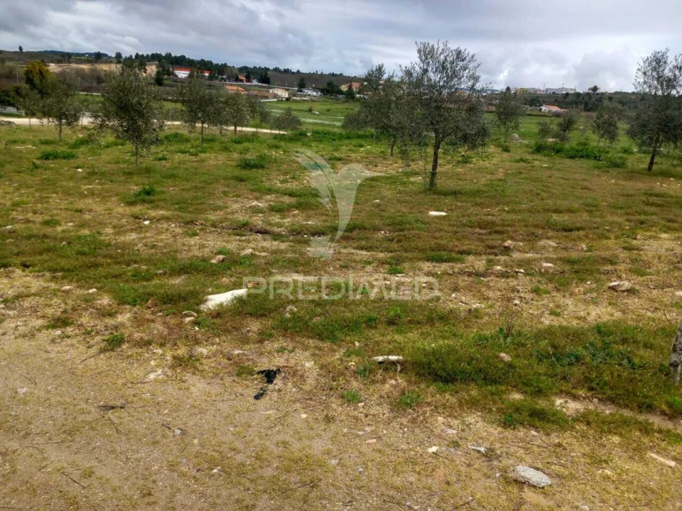 Quinta T0 para Venda em Mêda, Outeiro de Gatos e Fonte Longa Foto 13