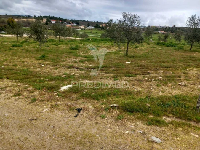 Quinta T0 para Venda em Mêda, Outeiro de Gatos e Fonte Longa Foto 13
