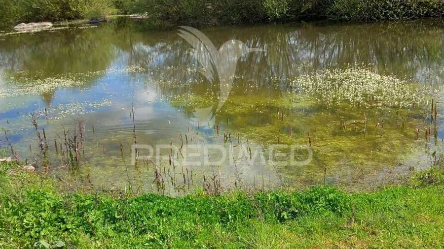 Quinta T0 para Venda em Mêda, Outeiro de Gatos e Fonte Longa