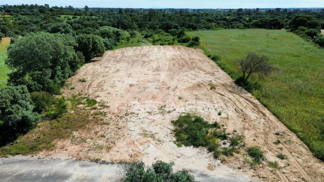 Terreno para Venda em Brogueira, Parceiros de Igreja e Alcorochel Foto 9
