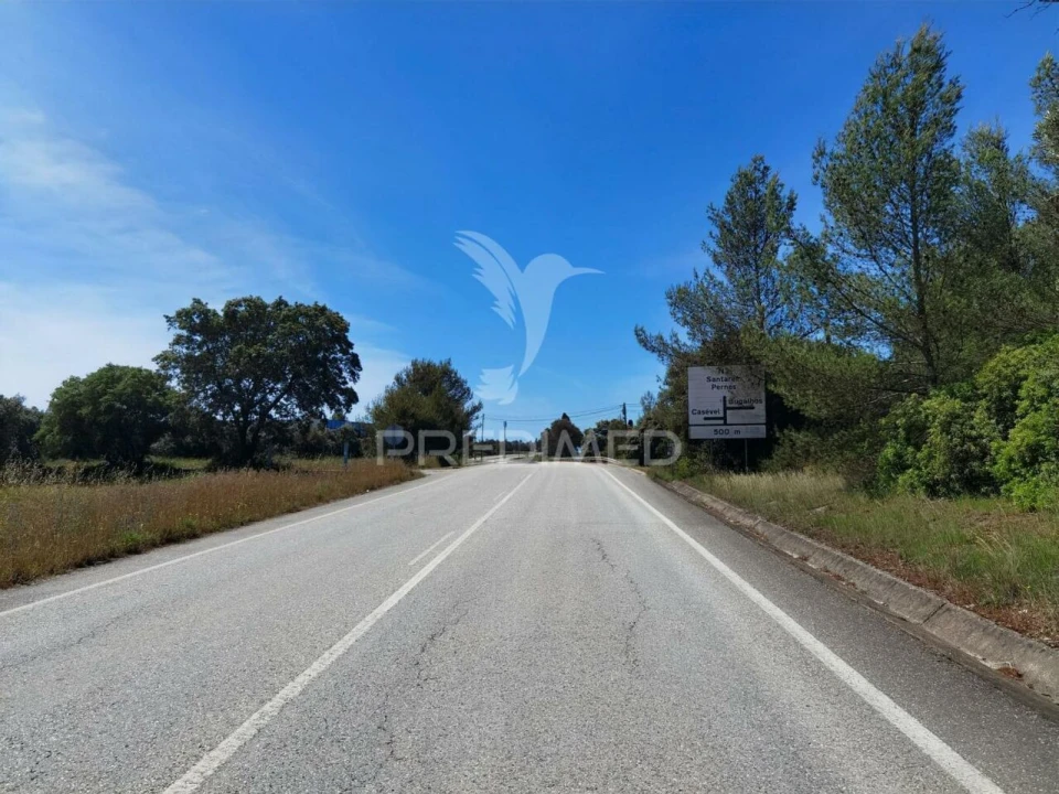 Terreno para Venda em Brogueira, Parceiros de Igreja e Alcorochel Foto 22