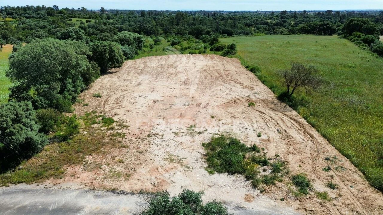 Terreno para Venda em Brogueira, Parceiros de Igreja e Alcorochel Foto 5