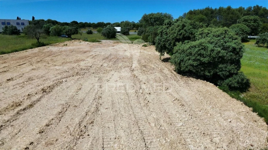 Terreno para Venda em Brogueira, Parceiros de Igreja e Alcorochel Foto 11