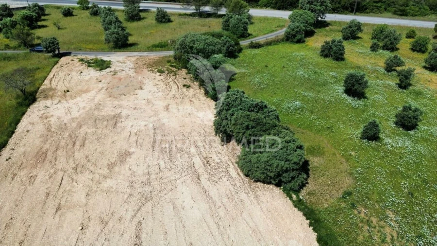 Terreno para Venda em Brogueira, Parceiros de Igreja e Alcorochel Foto 8