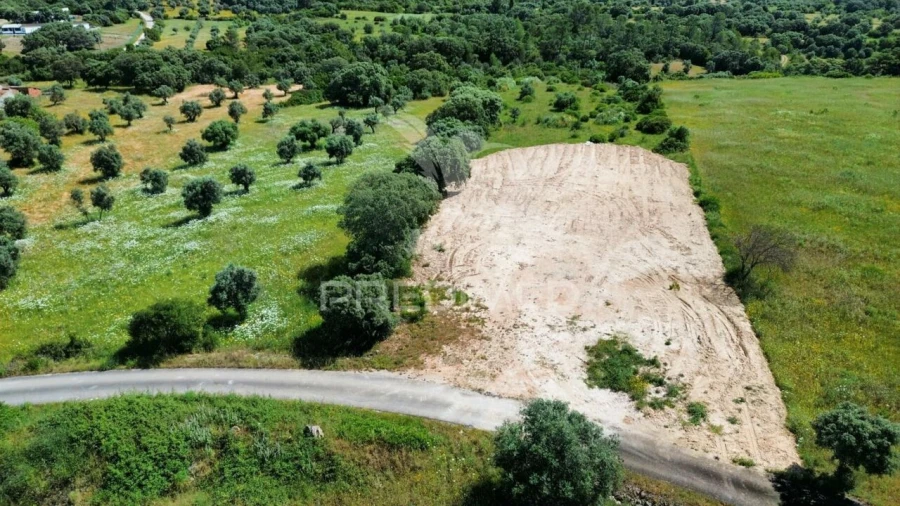 Terreno para Venda em Brogueira, Parceiros de Igreja e Alcorochel Foto 6