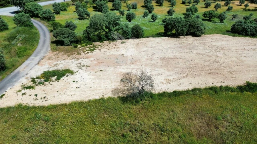 Terreno para Venda em Brogueira, Parceiros de Igreja e Alcorochel Foto 3