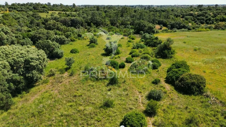 Terreno para Venda em Brogueira, Parceiros de Igreja e Alcorochel Foto 17
