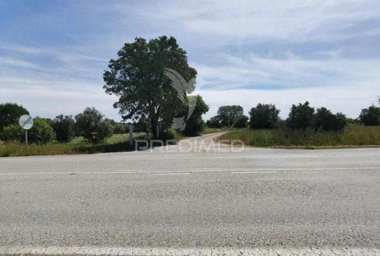 Terreno para Venda em Brogueira, Parceiros de Igreja e Alcorochel Foto 20