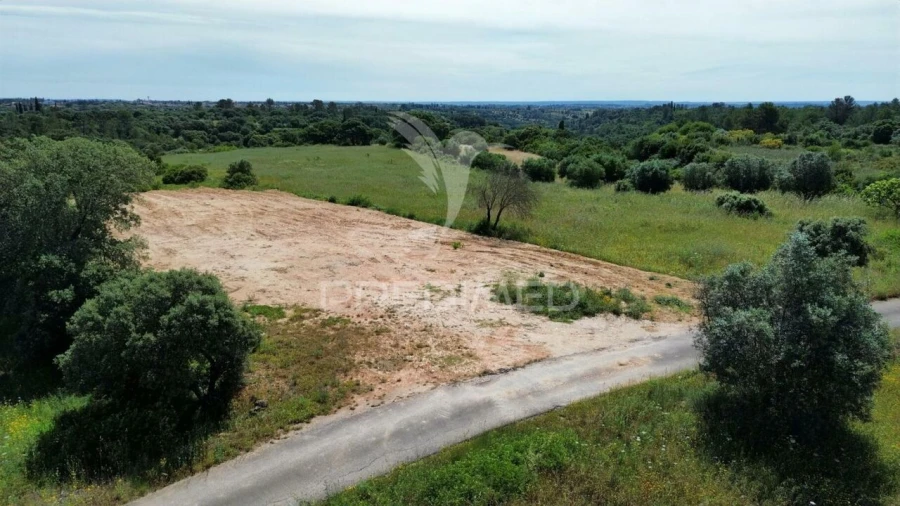 Terreno para Venda em Brogueira, Parceiros de Igreja e Alcorochel Foto 15
