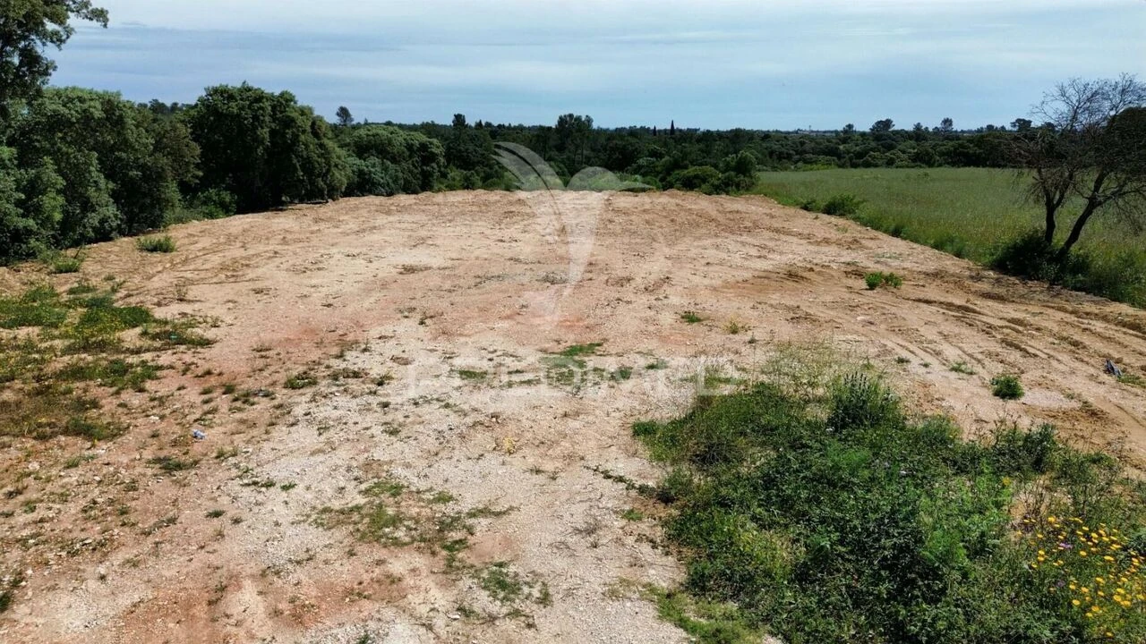 Terreno para Venda em Brogueira, Parceiros de Igreja e Alcorochel Foto 16