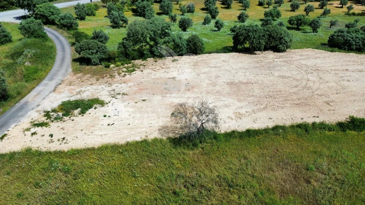Terreno para Venda em Brogueira, Parceiros de Igreja e Alcorochel Foto 3