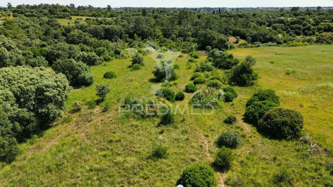 Terreno para Venda em Brogueira, Parceiros de Igreja e Alcorochel Foto 17