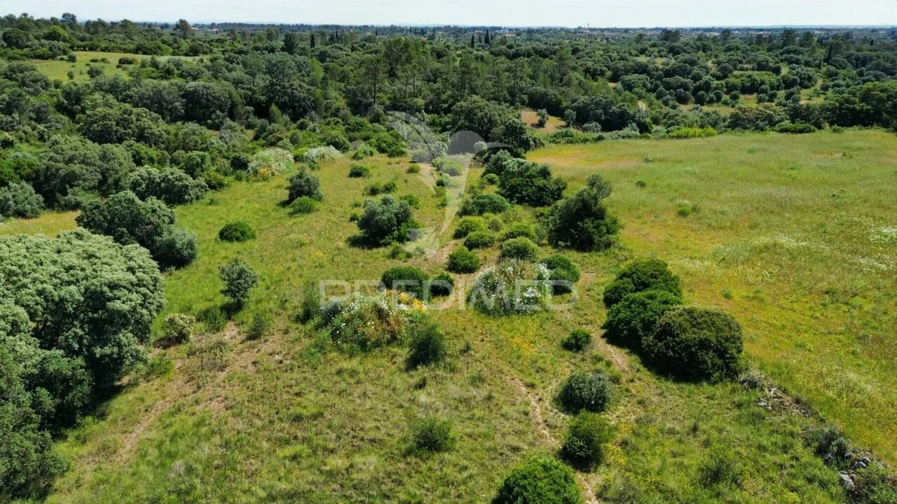 Terreno para Venda em Brogueira, Parceiros de Igreja e Alcorochel Foto 19