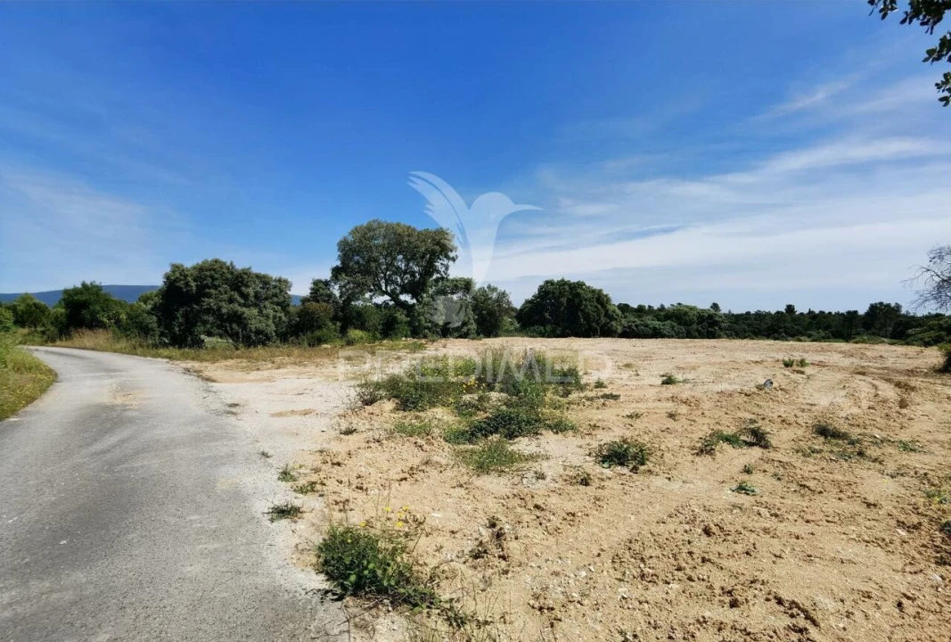 Terreno para Venda em Brogueira, Parceiros de Igreja e Alcorochel Foto 13