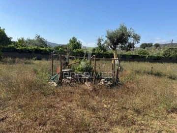 Moradia T3 para Venda em Areias e Pias