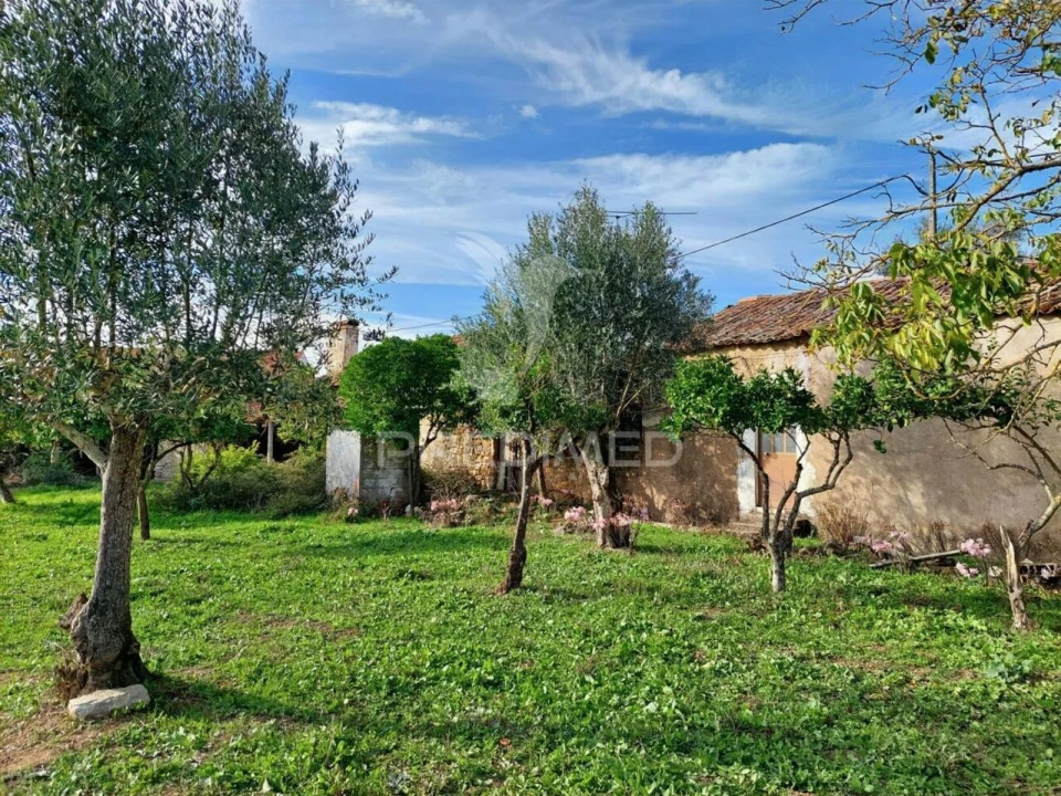 Moradia T3 para Venda em Areias e Pias Foto 19