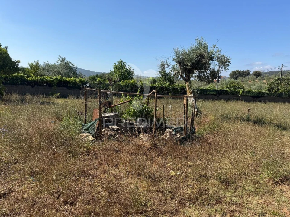 Moradia T3 para Venda em Areias e Pias Foto 38