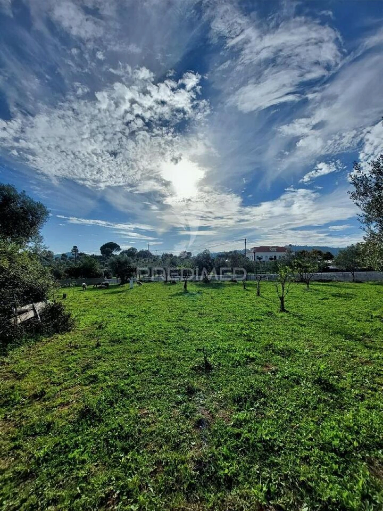 Moradia T3 para Venda em Areias e Pias Foto 21