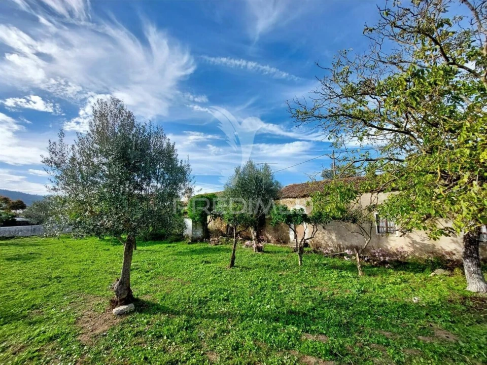 Moradia T3 para Venda em Areias e Pias Foto 15