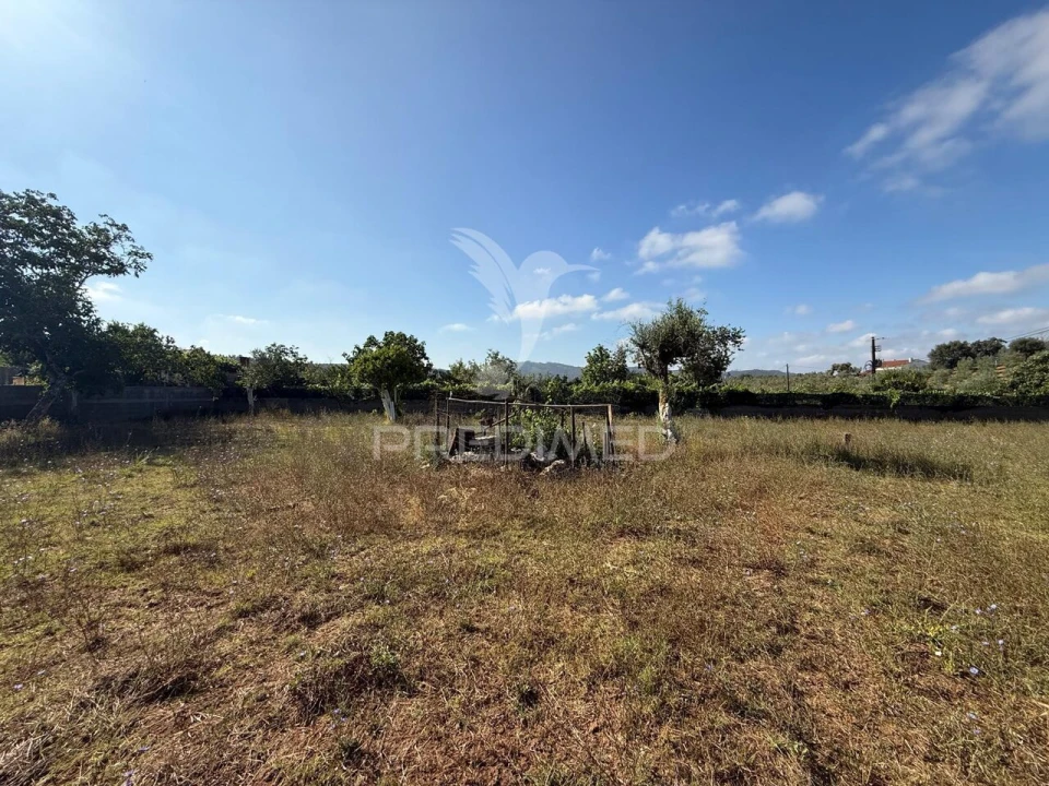 Moradia T3 para Venda em Areias e Pias Foto 37