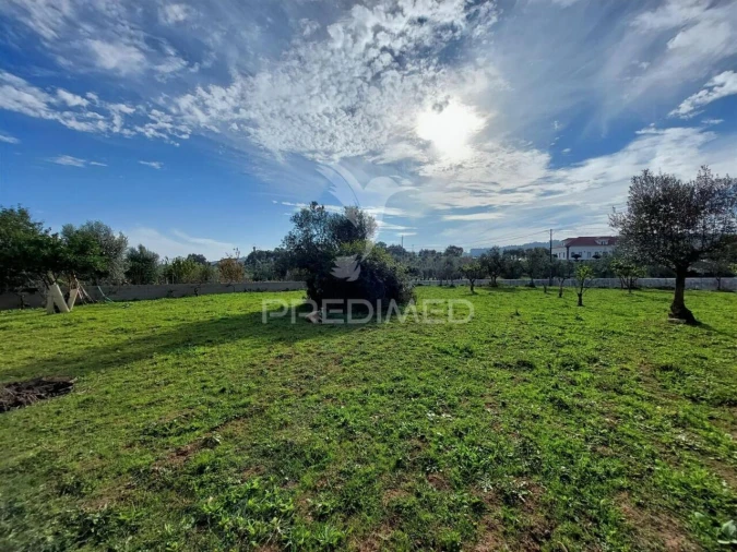 Moradia T3 para Venda em Areias e Pias Foto 17