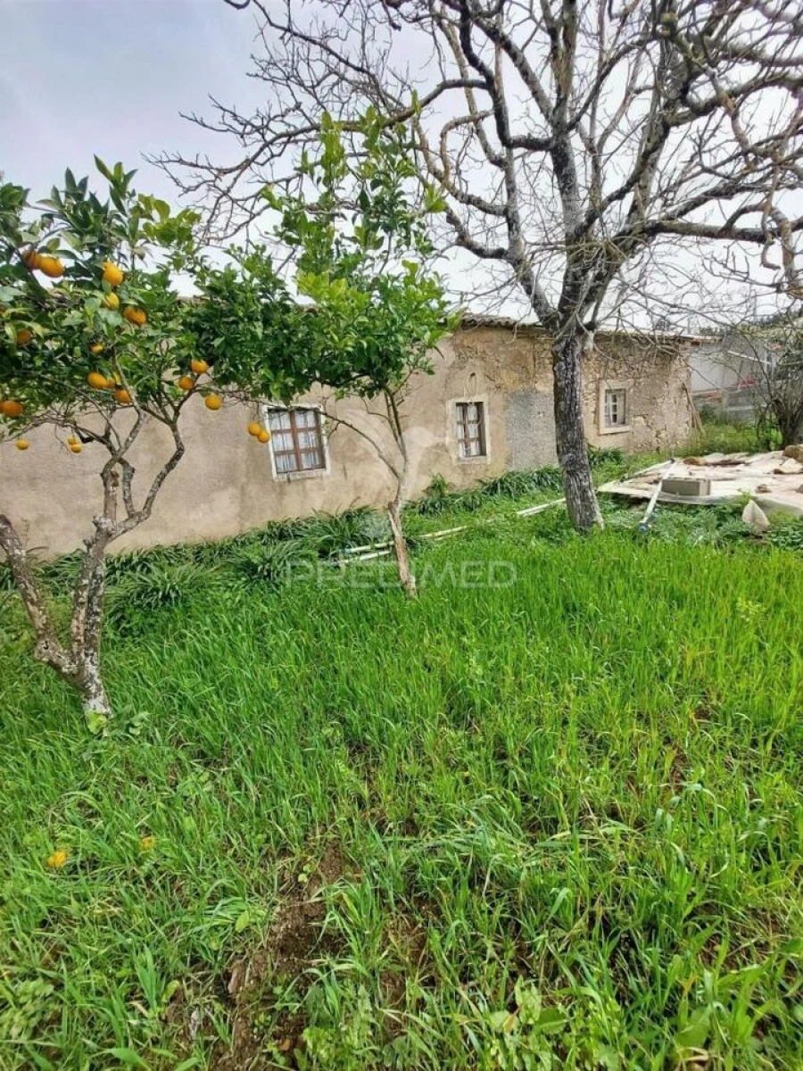 Moradia T3 para Venda em Areias e Pias Foto 25