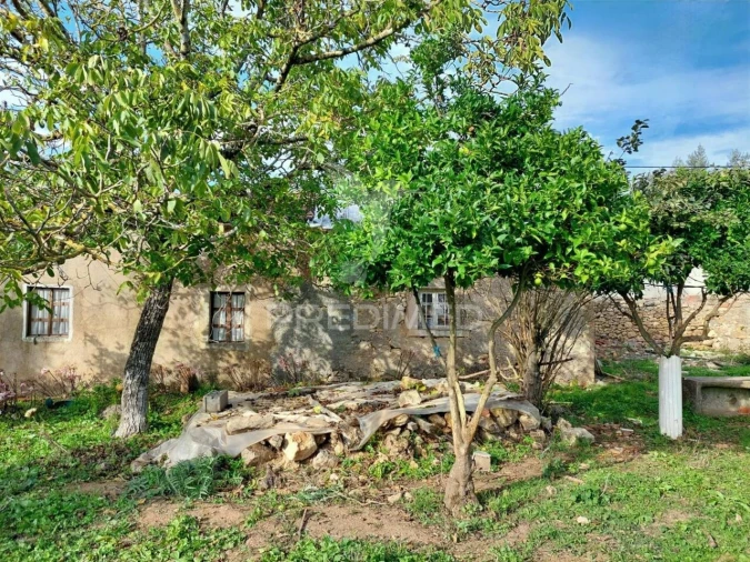 Moradia T3 para Venda em Areias e Pias Foto 23