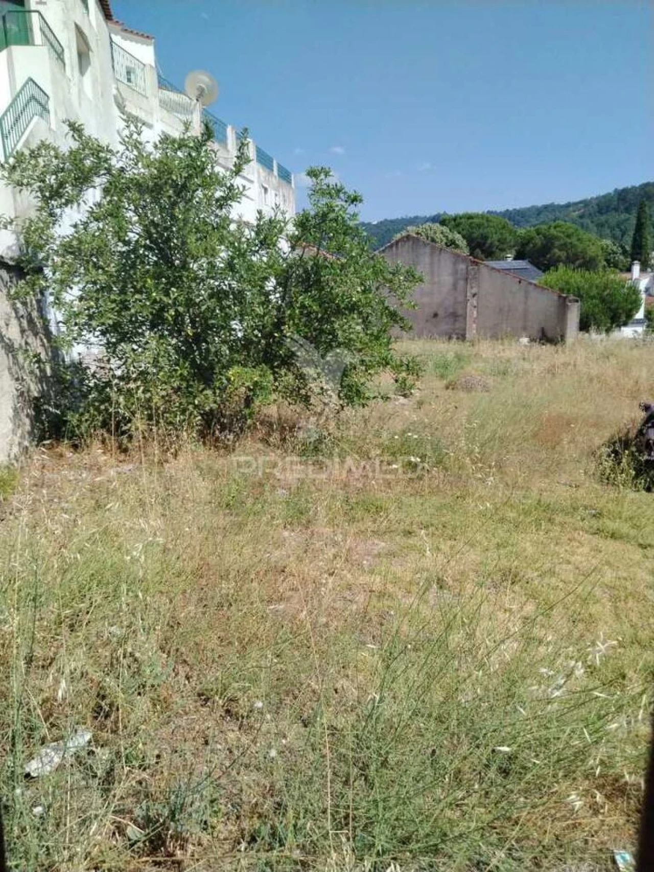 Terreno para Venda em Ribeira de Nisa e Carreiras Foto 1