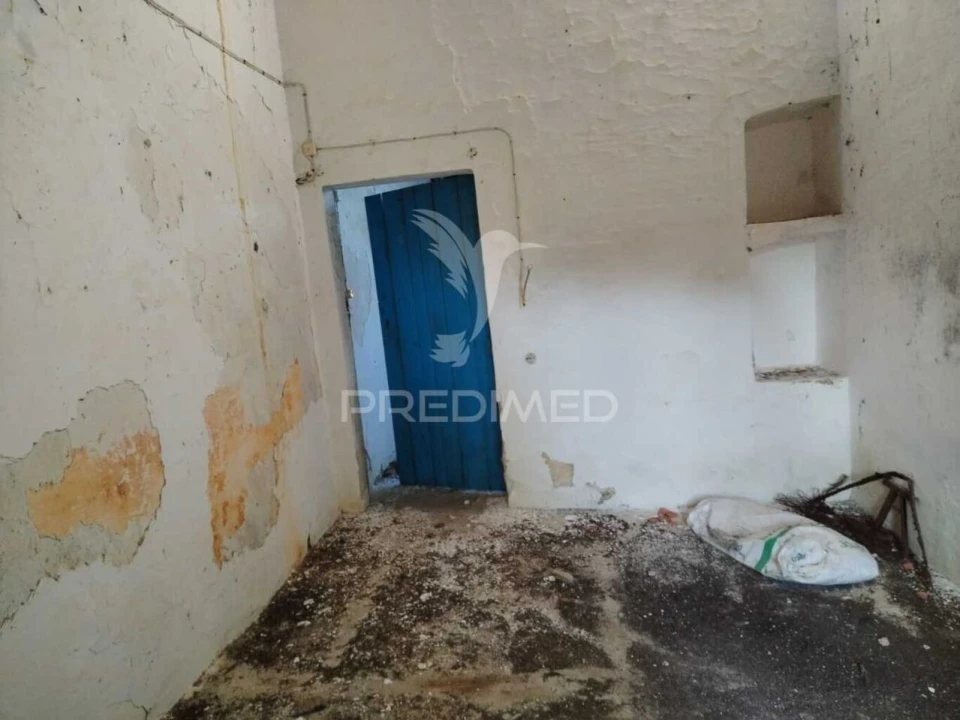 Quinta T0 para Venda em Ribeira de Nisa e Carreiras Foto 2