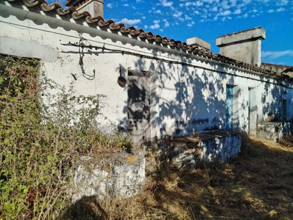 Quinta T0 para Venda em Ribeira de Nisa e Carreiras Foto 6