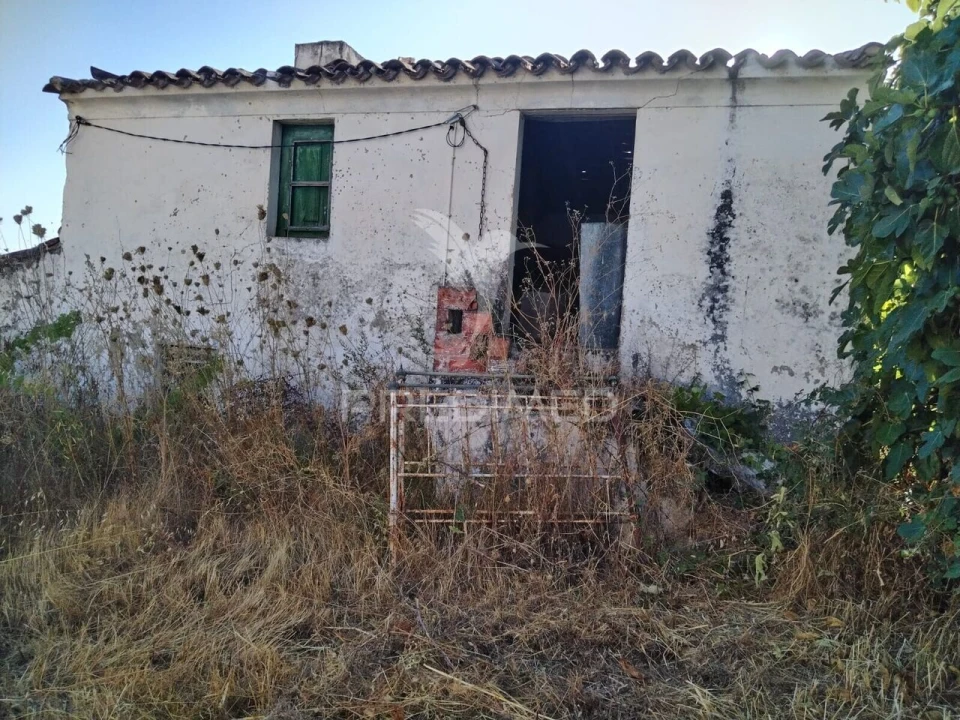 Quinta T0 para Venda em Ribeira de Nisa e Carreiras Foto 1